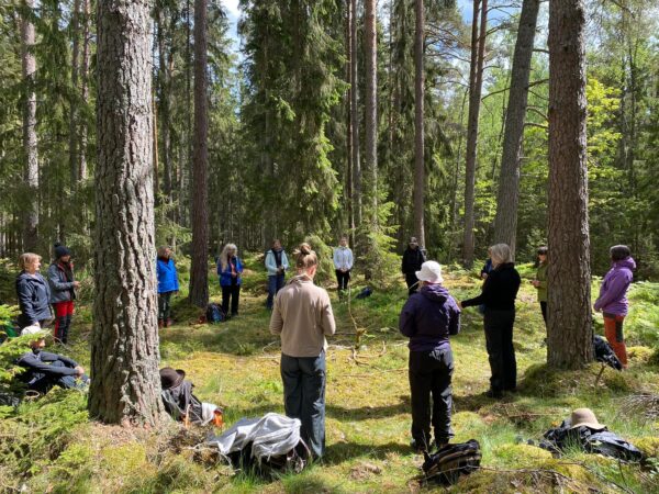 Certifierad Skogsbadsguide 2025, Svenska-Norska - Bild 2