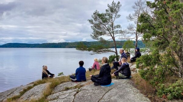 Forest Medicine Councils, 2024-25 - Bild 2