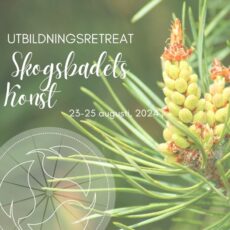 Workshop i Skogsbadets konst, 2024