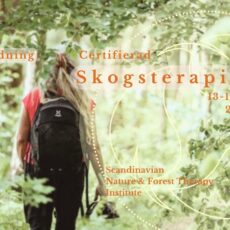 Certifierad Skogsterapiguide 2026, Svenska, Online