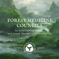 Forest Medicine Councils, 2024-25
