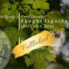 Certifierad Skogsbadsguide 2025, Svenska-Norska
