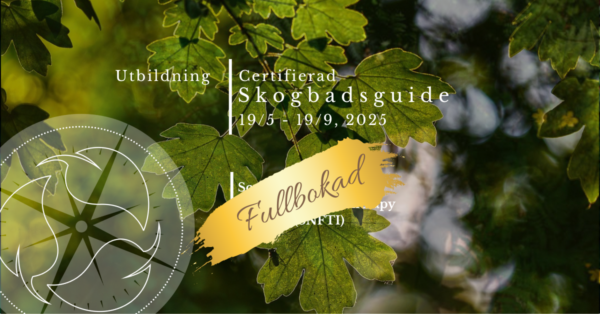 Certifierad Skogsbadsguide 2025, Svenska-Norska