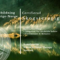Certifierad Skogsterapiguide 2025, Svenska